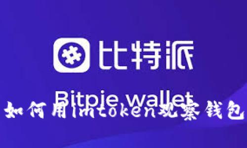 如何用imtoken观察钱包