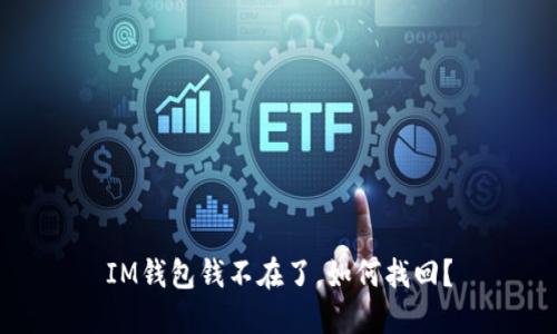 IM钱包钱不在了,如何找回?