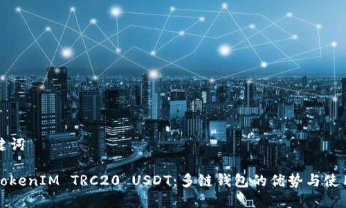 和关键词
了解TokenIM TRC20 USDT:多链钱包的优势与使用指南