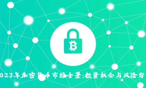 2023年加密货币市场全景:投资机会与风险分析