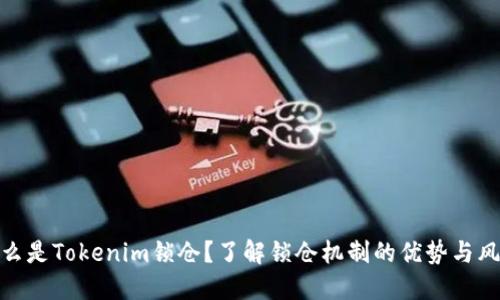 什么是Tokenim锁仓?了解锁仓机制的优势与风险