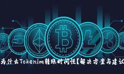为什么Tokenim转账时间慢?解决方案与建议