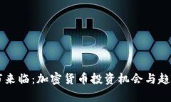 新牛市来临：加密货币投