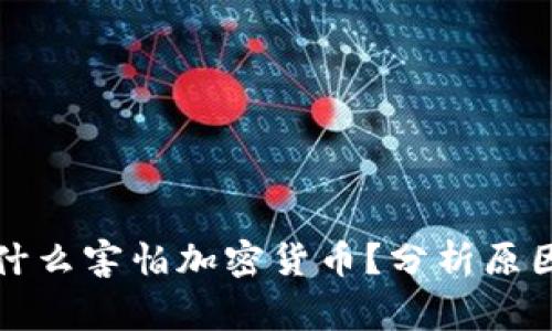 国家为什么害怕加密货币?分析原因与影响