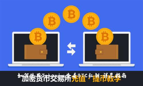 如何使用Tokenim查看BTC私钥:详尽指南