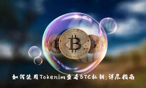 如何使用Tokenim查看BTC私钥:详尽指南