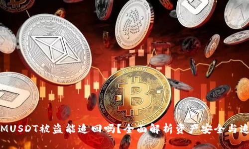 TokenIMUSDT被盗能追回吗？全面解析资产安全与追回策略