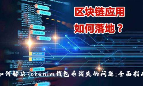 如何解决Tokenim钱包币消失的问题:全面指南