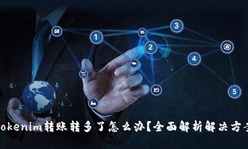 Tokenim转账转多了怎么办?全面解析解决方案