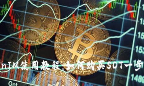 TokenIM使用教程:如何购买SDT一步到位