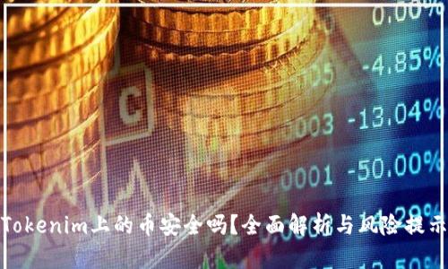 Tokenim上的币安全吗?全面解析与风险提示