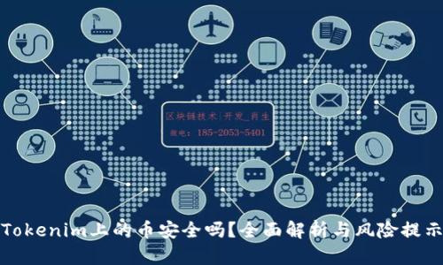 Tokenim上的币安全吗?全面解析与风险提示