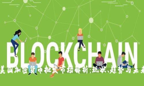 美国加密货币批发市场解析:现状、趋势与未来