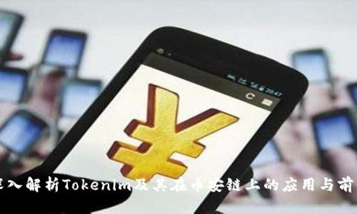 深入解析Tokenim及其在币安链上的应用与前景