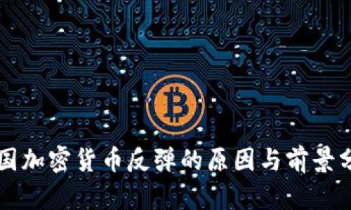 美国加密货币反弹的原因与前景分析