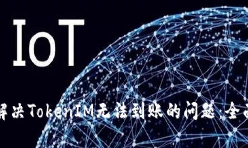 如何解决TokenIM无法到账的问题:全面指南