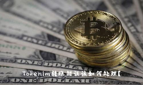Tokenim转账错误该如何处理?