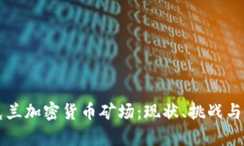 优质乌克兰加密货币矿场:现状、挑战与未来展望