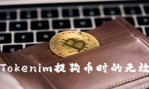 如何处理Tokenim提狗币时的无效地址问题