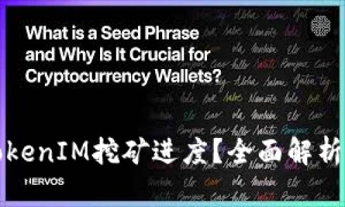 如何查看TokenIM挖矿进度?全面解析和实用指南