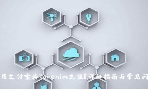 如何使用支付宝为Tokenim充值?详细指南与常见问题解答