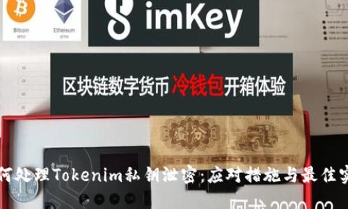 如何处理Tokenim私钥泄密:应对措施与最佳实践