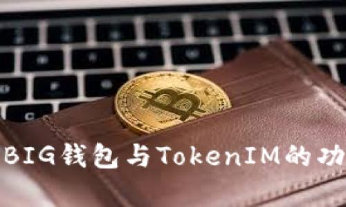 全面解析BIG钱包与TokenIM的功能与优势