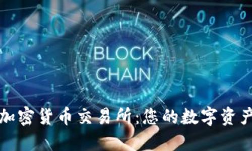 塞浦路斯加密货币交易所:您的数字资产投资指南