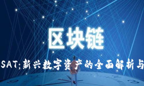 加密货币SAT:新兴数字资产的全面解析与未来展望