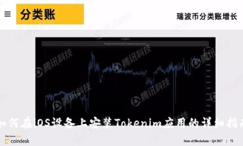 如何在iOS设备上安装Tokenim应用的详细指南