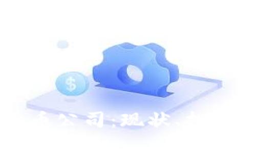 中国加密货币公司:现状、挑战与未来展望