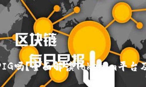 ### Tokenim能存PIG吗?全面解读Tokenim平台及其数字资产存储功能