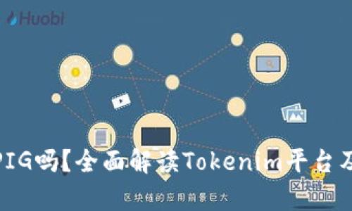 ### Tokenim能存PIG吗?全面解读Tokenim平台及其数字资产存储功能
