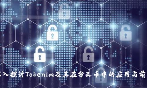 深入探讨Tokenim及其在分叉币中的应用与前景