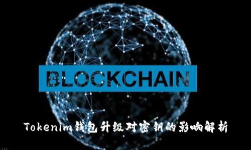 Tokenim钱包升级对密钥的影响解析