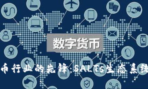 探索加密货币行业的先锋:SALTs生态系统的全面解析