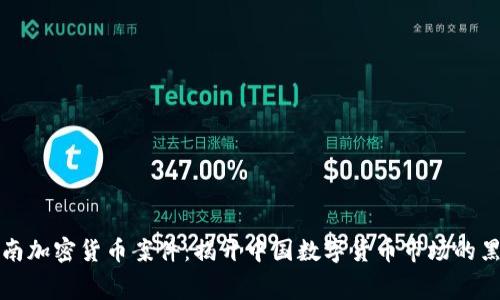 河南加密货币案件:揭开中国数字货币市场的黑幕