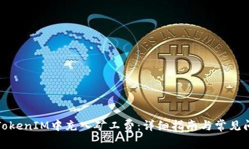 如何在TokenIM中充入矿工费:详细指南与常见问题解答