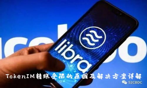 TokenIM转账受限的原因及解决方案详解