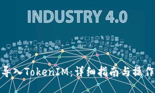 如何导入TokenIM:详细指南与操作步骤