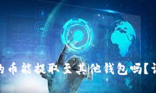 Tokenim钱包的币能提取至其他钱包吗?详解及使用指南
