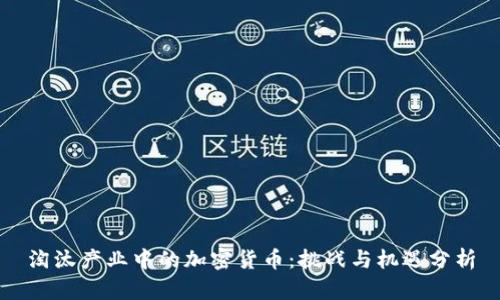 淘汰产业中的加密货币:挑战与机遇分析