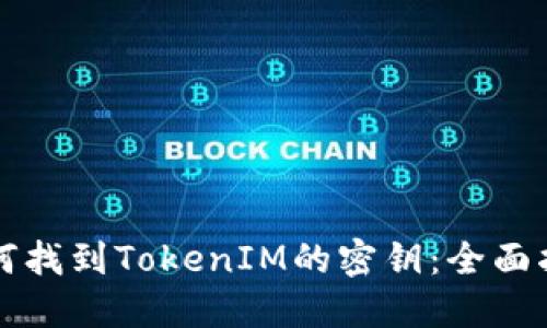 如何找到TokenIM的密钥:全面指南