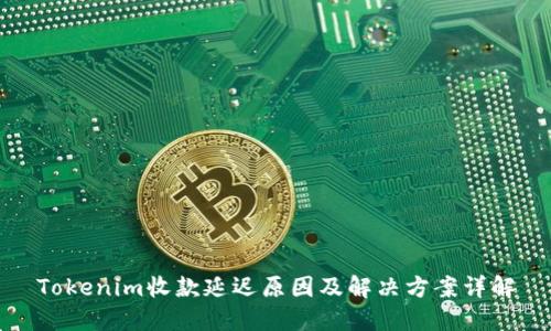 Tokenim收款延迟原因及解决方案详解