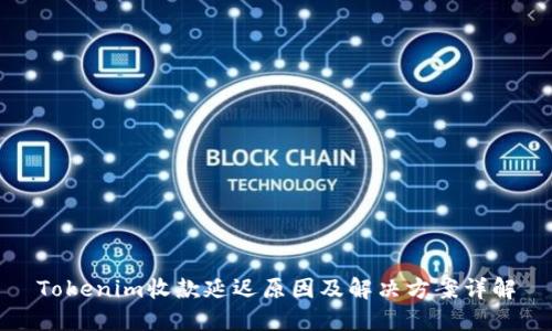 Tokenim收款延迟原因及解决方案详解