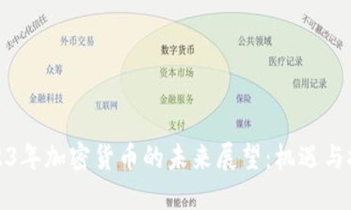 2023年加密货币的未来展望:机遇与挑战