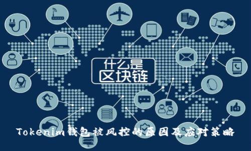 Tokenim钱包被风控的原因及应对策略