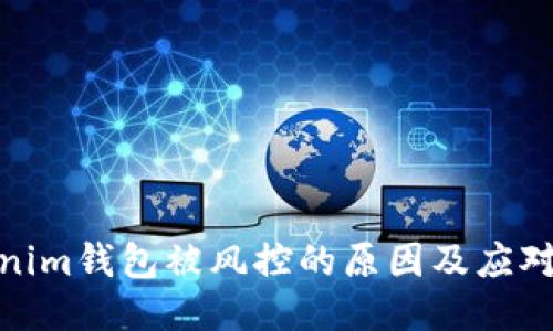 Tokenim钱包被风控的原因及应对策略