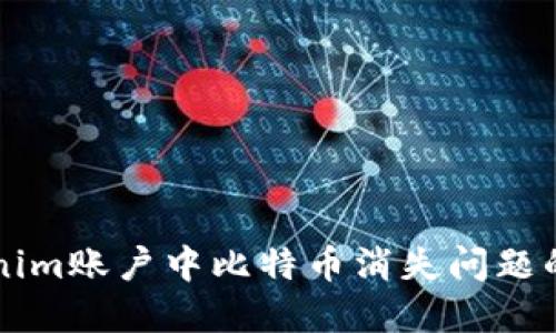 解决Tokenim账户中比特币消失问题的全面指南