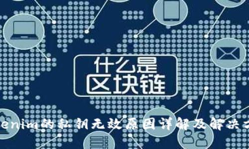 Tokenim的私钥无效原因详解及解决方案